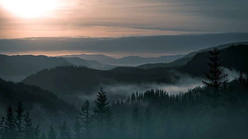 Natur, Landschaft, Bäume, Wald, Kiefern, Berge, Norwegen, Nebel, Sonnenaufgang, Hügel, Wolken. Wald, Baum, Laptop HD-Hintergrundbild