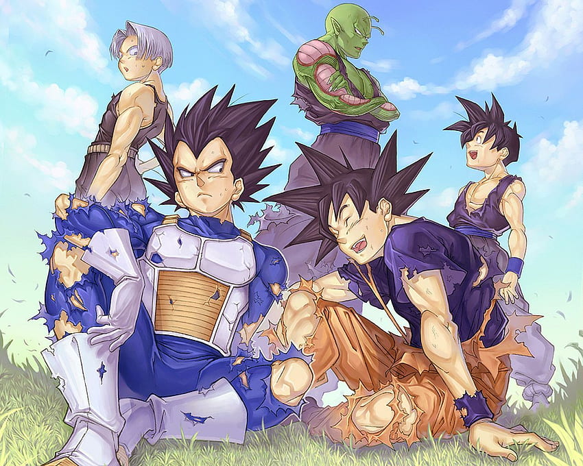 Vegeta Son Goku Saiyans Dragon Ball Z wallpaper, 1600x1200, 311949