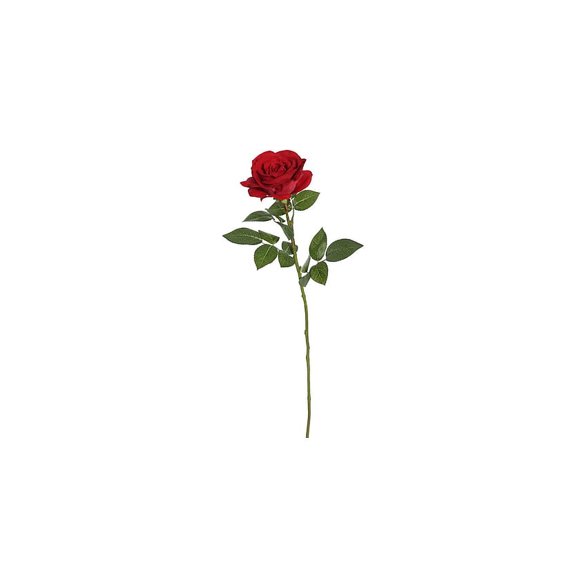 Artificial Rose Plant (27) Red - Vickerman. Roses drawing, Single Flower Drawing HD phone wallpaper
