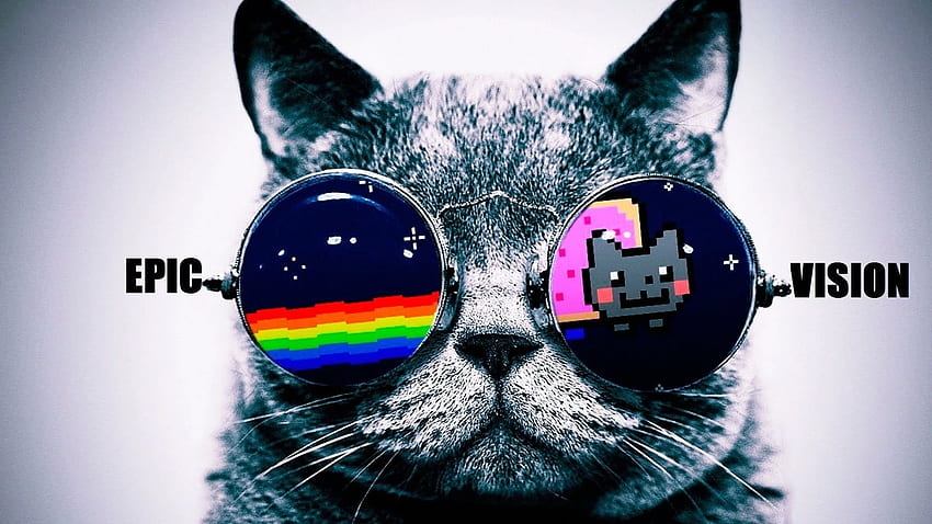 gaming, Game, Video, Computer, Gamer, Poster / and Mobile Background, GaMERCaT HD wallpaper