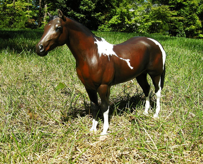 cavalo de pintura, branco, égua, marrom, fase de senhora, pintura, misturar cores papel de parede HD