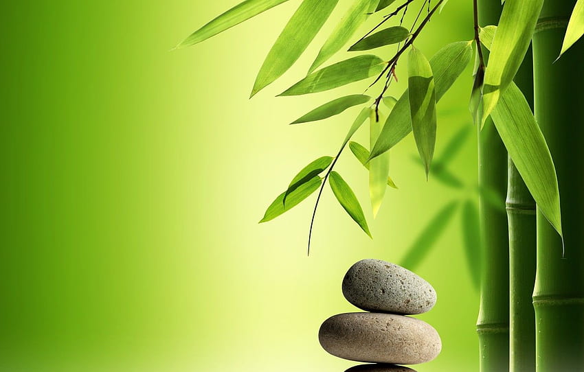 water, stones, bamboo, spa, zen for HD wallpaper