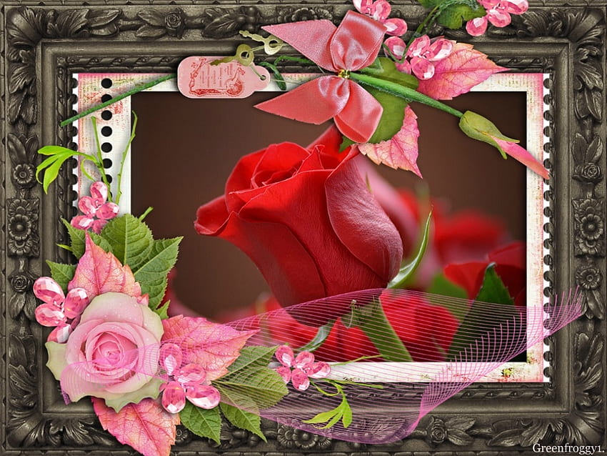 A BUD OF LOVE, FLOWER, ROSE, FRAMED, RED HD wallpaper