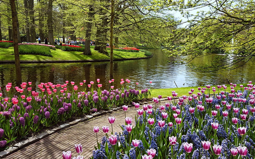 Schöner Sommergarten und mobiler Hintergrund [] für Ihr , Handy und Tablet. Entdecken Sie Frühlingsblumengärten. Breit-Blumengarten HD-Hintergrundbild