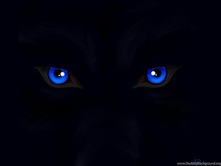 Wolf Eyes, Blue Eyes HD wallpaper