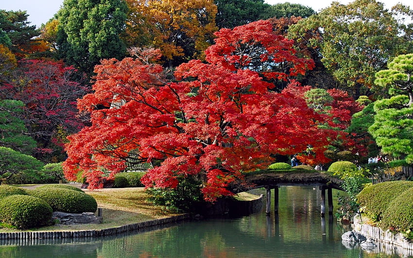 Landscapes: Lakes Colors Autumn Japan Trees Bridges, Japan Scene HD  wallpaper | Pxfuel