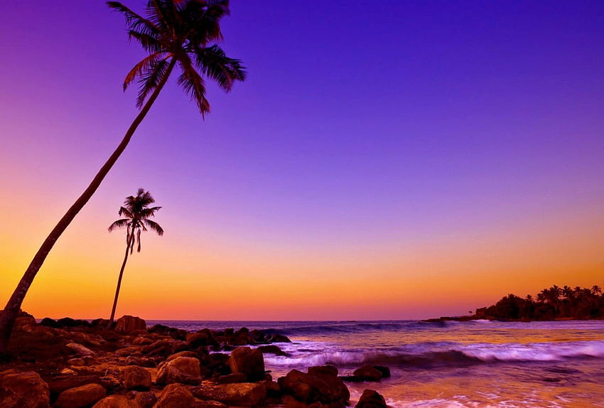 Purple Sunset - Sri Lanka Beach HD wallpaper | Pxfuel