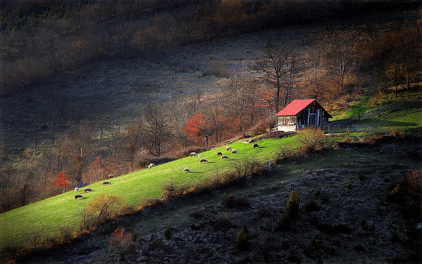 Landschaften - Serbien Landschaften, SRBIJA HD-Hintergrundbild