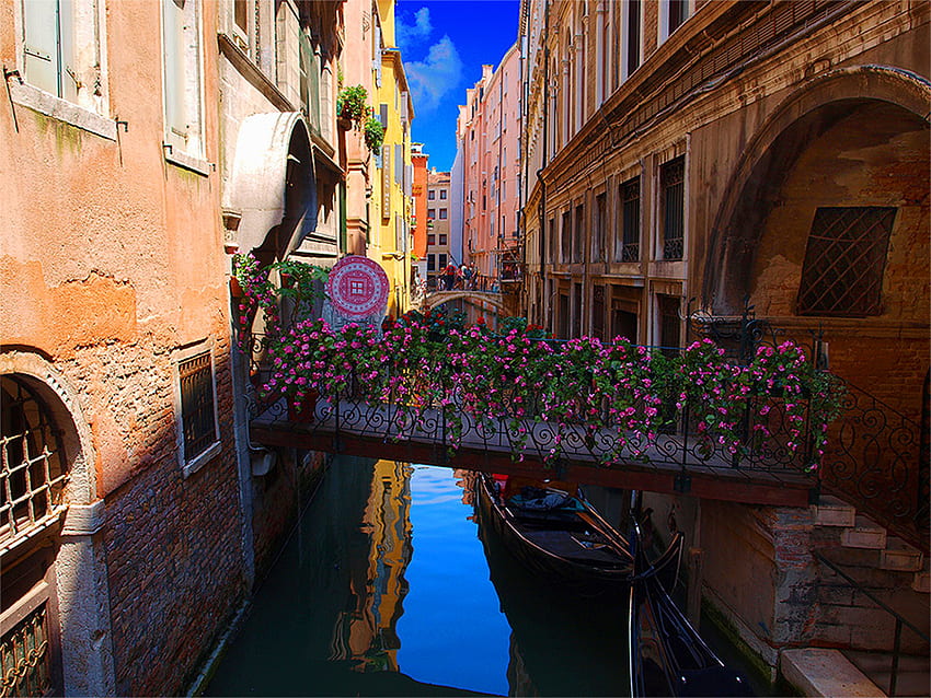 venecia, puente, italia, flores fondo de pantalla