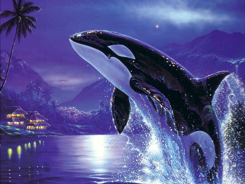 HQ Orca, linda baleia roxa papel de parede HD