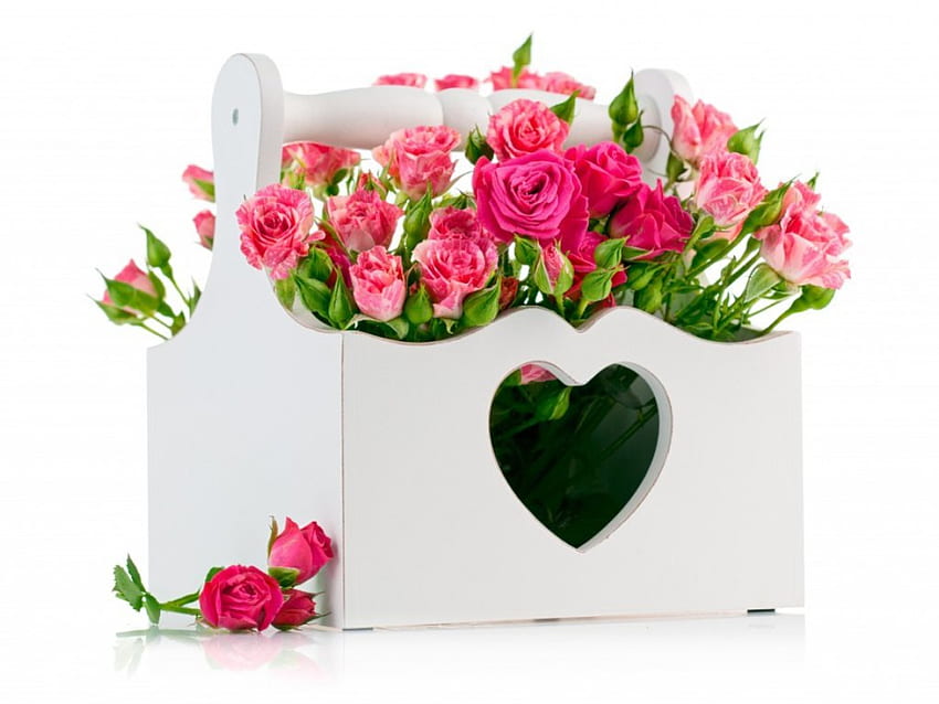 lovely gift, still life, pink roses, flowers, gift, lovely HD wallpaper