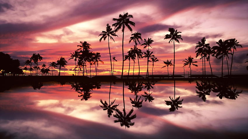 アラモアナ ビーチ パーク、ホノルル、オアフ島、ハワイに沈む夕日 高画質の壁紙