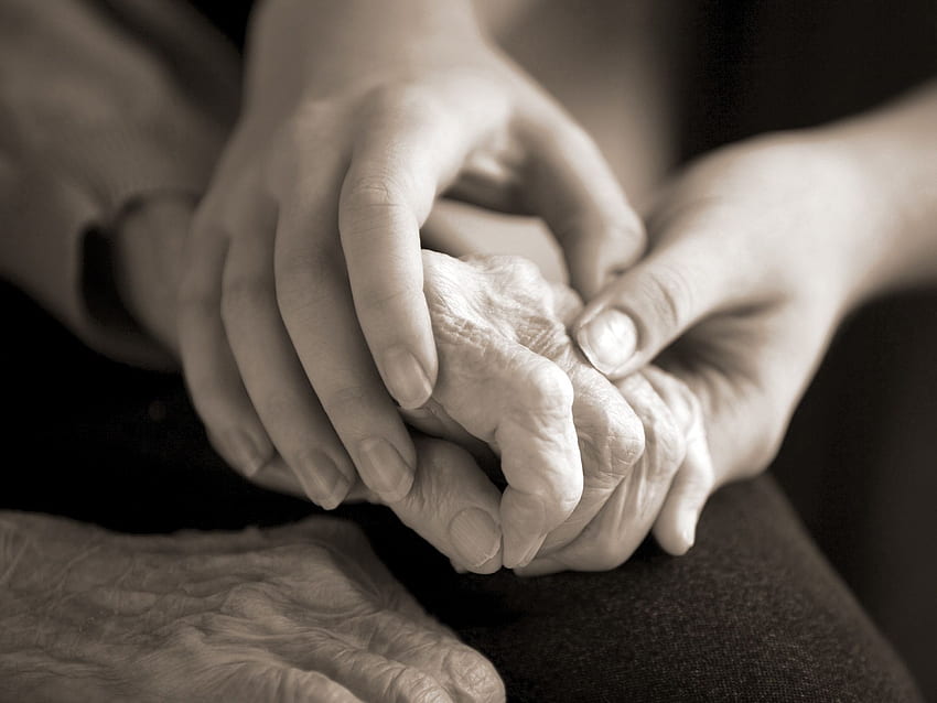 Razones por las que es importante cuidar a nuestros mayores –, Adulto Mayor fondo de pantalla