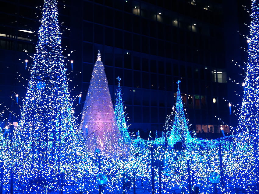 Oh Christmas tree – illuminations in Tokyo 2011 HD wallpaper | Pxfuel