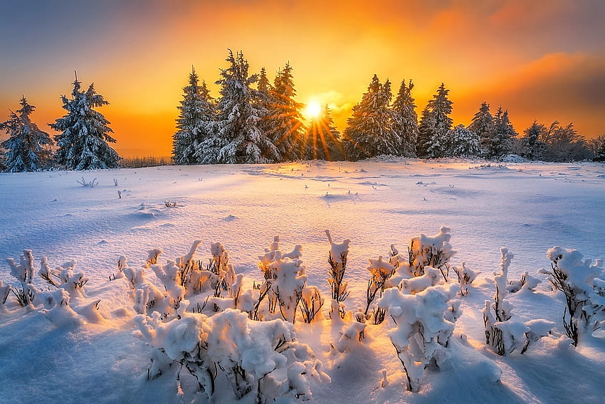 Matahari terbit musim dingin, keemasan, musim dingin, sinar, indah, gunung, matahari terbit, berapi-api, salju, matahari, matahari terbenam Wallpaper HD