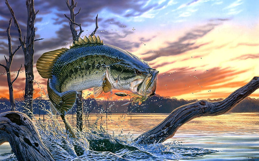 Collection of Fishing Background, Fishing High Quality, Fisherman HD wallpaper