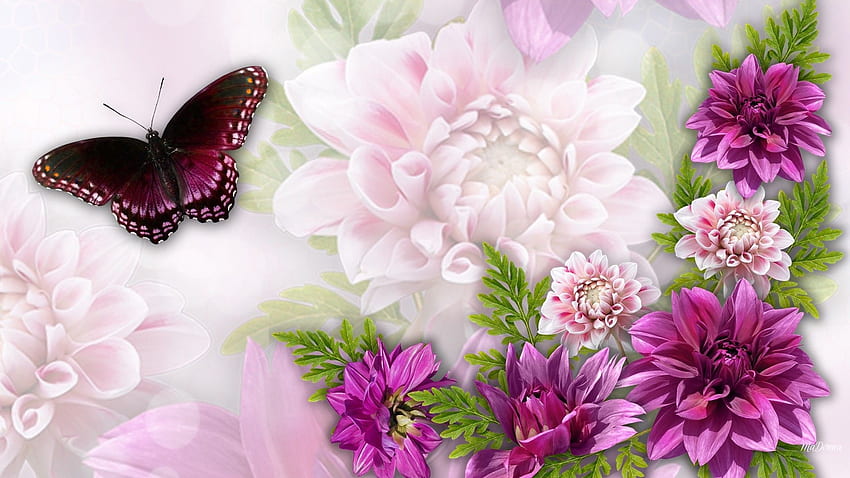 Flower Flowers Dreamy Bright Pink Dahlias Astors Butterfly Garden HD wallpaper