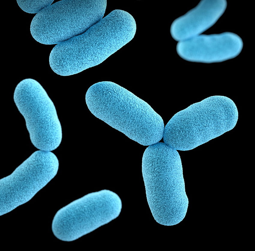 Bakteri [], Mikrop HD duvar kağıdı