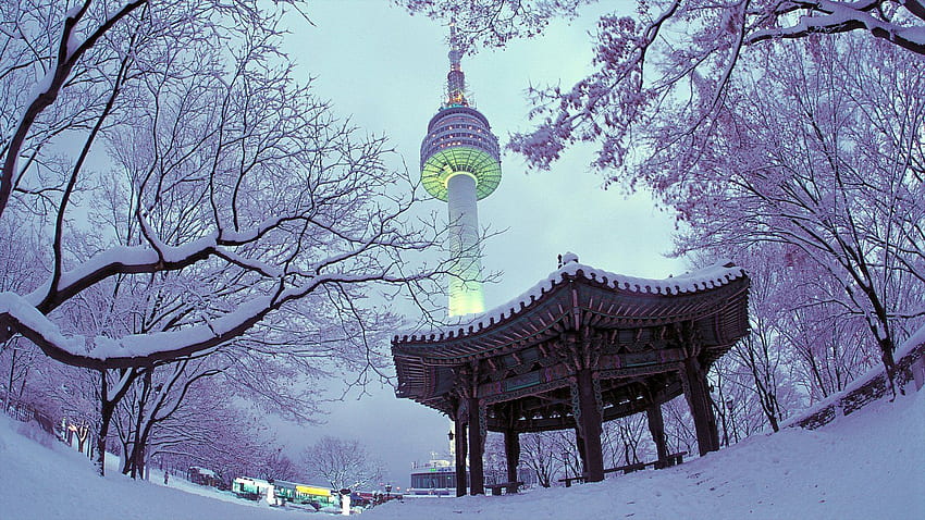 Winter : View of N Seoul Tower, Korea Winter HD wallpaper