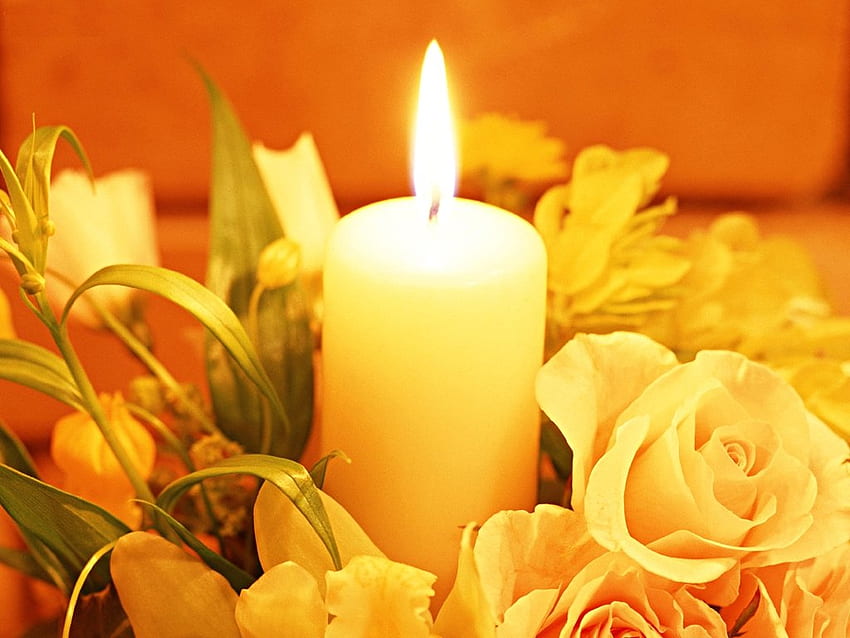 Candle and roses, rose, candle, light, yellow HD wallpaper