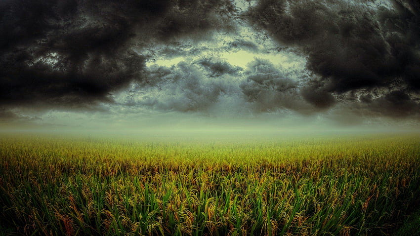 Green clouds landscapes nature storm fields plants dark cloud skies . HD wallpaper