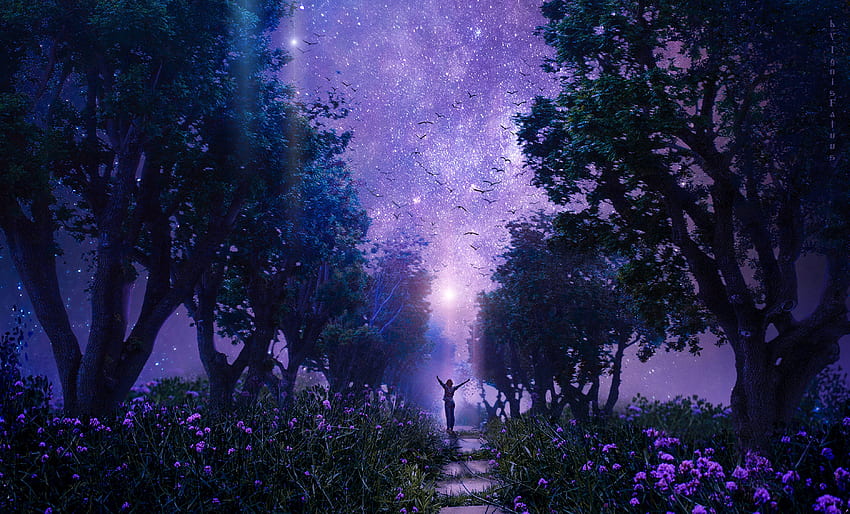 Fantasy, Art, Violet, Forest, Starry Sky, Purple, Fairy, Fabulous HD wallpaper