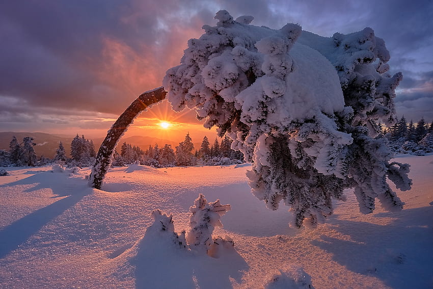 Winter Sonnenuntergang, Schnee, Wolken, Landschaft, Himmel, Sonne, Baum HD-Hintergrundbild