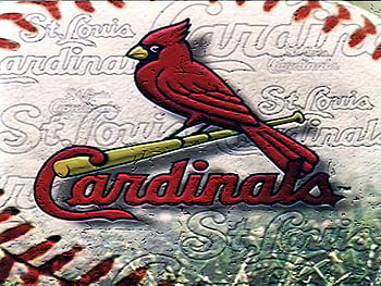 St Louis Cardinals Wallpaper Full HD 32797 - Baltana