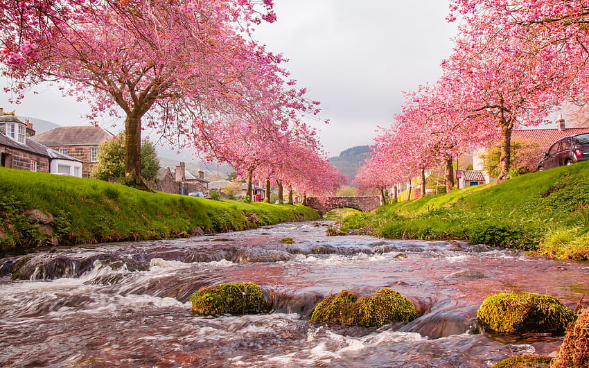 Природа на Япония, красива природа на Япония HD тапет