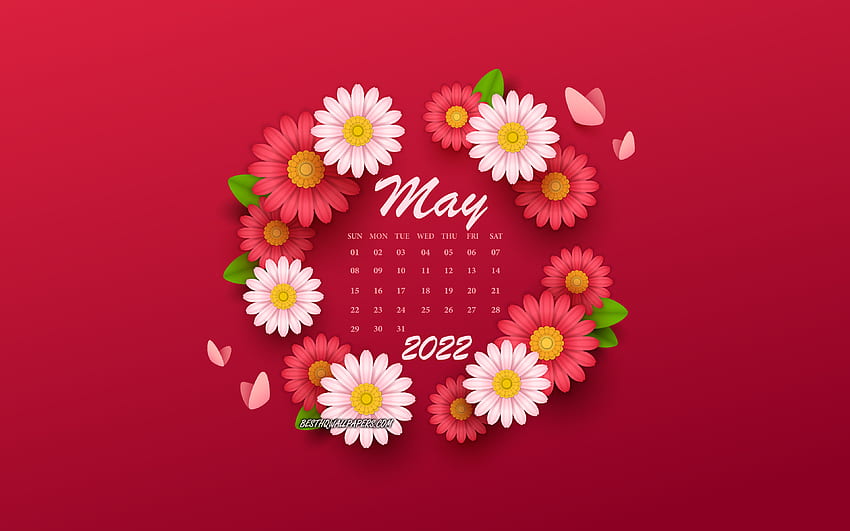 2022 May Calendar, , background with flowers, spring flowers, 2022 spring calendars, May, 2022 calendars, May 2022 Calendar HD wallpaper