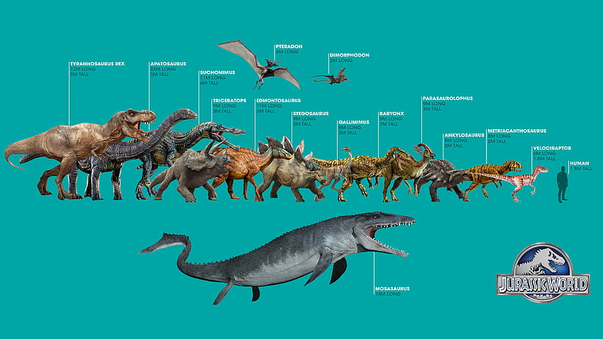 Jurassic World Dino yang benar: JurassicPark, Jurassic Park Velociraptor Wallpaper HD