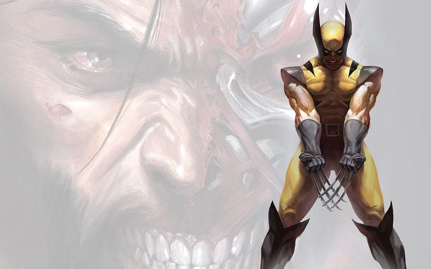 Marvel Wolverine Angry Wolverine Hd Wallpaper Pxfuel