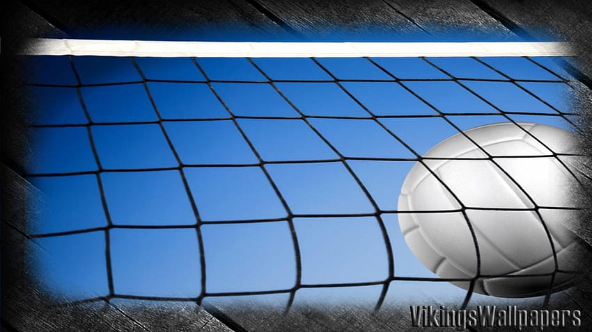 Volleyball for Android, Volleyball Net HD wallpaper