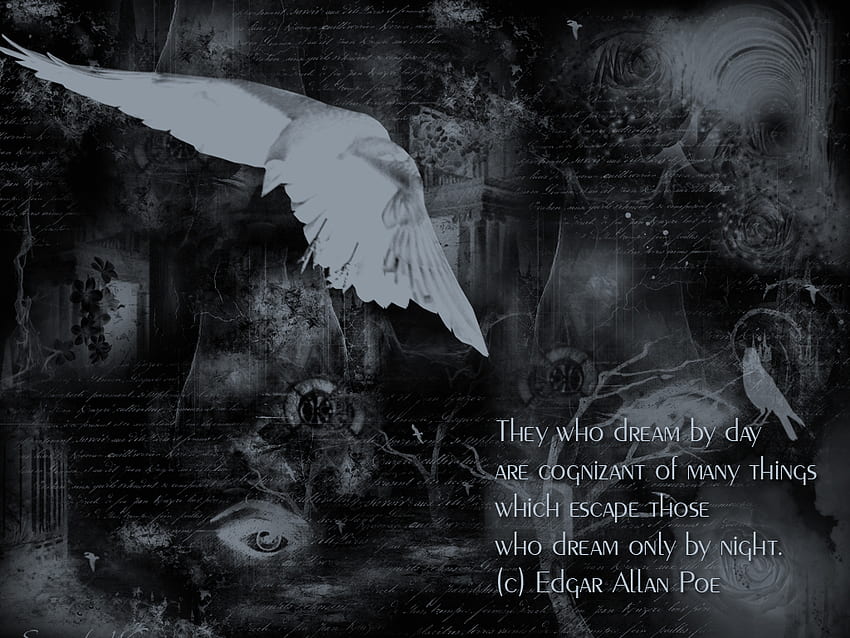 Poe, gótico, branco, citações, preto, mistério, cinza, escuro, poeta, poema papel de parede HD
