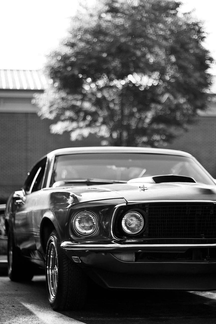 Mustang. Classic cars, Cars, Cool cars, American Muscle Trucks HD phone  wallpaper | Pxfuel