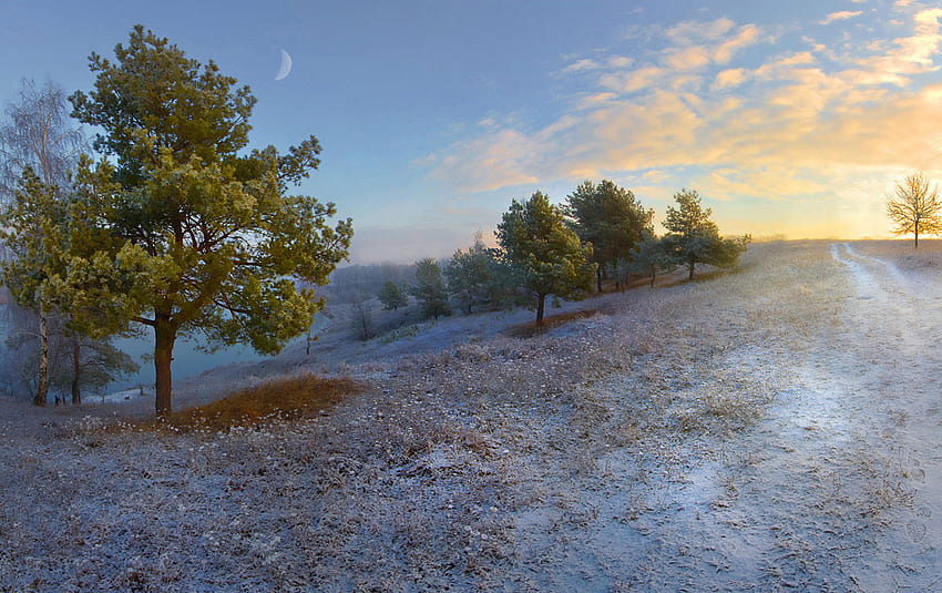 The Last Snow, morning, moon, crescent, snow, landscape, beautiful, tree HD wallpaper