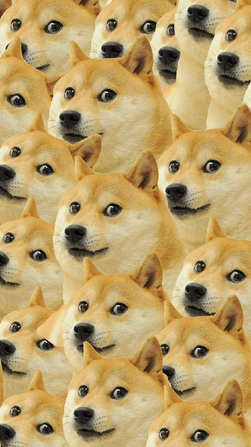 Doge Samurai Meme HD phone wallpaper