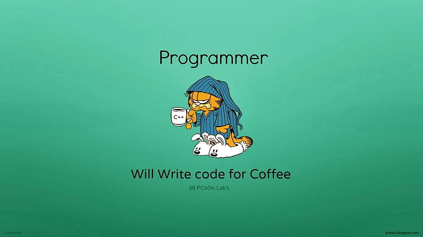 PCbots Labs (Blog): Programmers And Coders , Funny Coding HD wallpaper