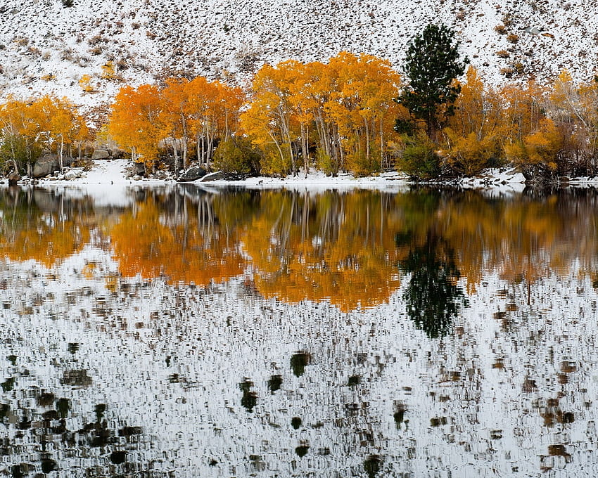 Early Fall, winter, creek, fall, reflected, bishop, tree, lake, canyon, nature, mountains, forest HD wallpaper