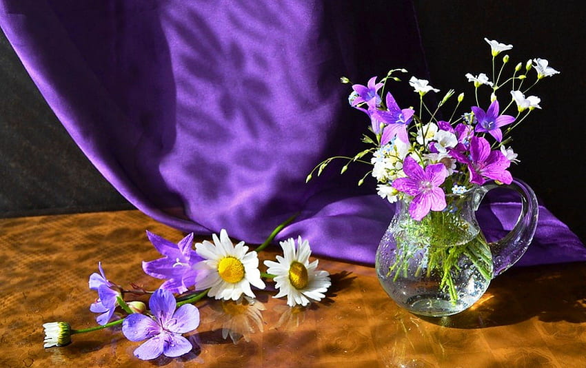 Purple still life, graphy, colors, small, wildflowers, grapher, artist, glass, white, art, soft, beautiful, cup, summer, purple, still life, diverse, daisy, nature, flowers, white flowers HD wallpaper