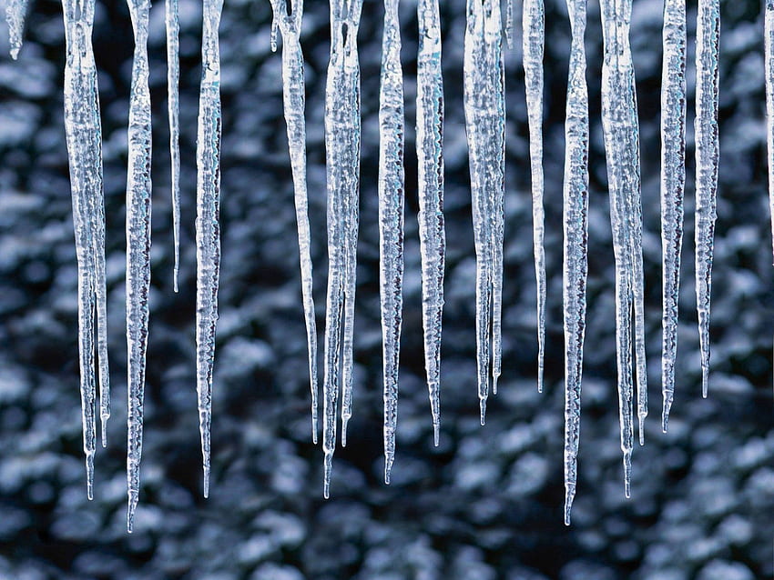 Ice, Macro, Frost, Acute, Sharp, Icicles HD wallpaper