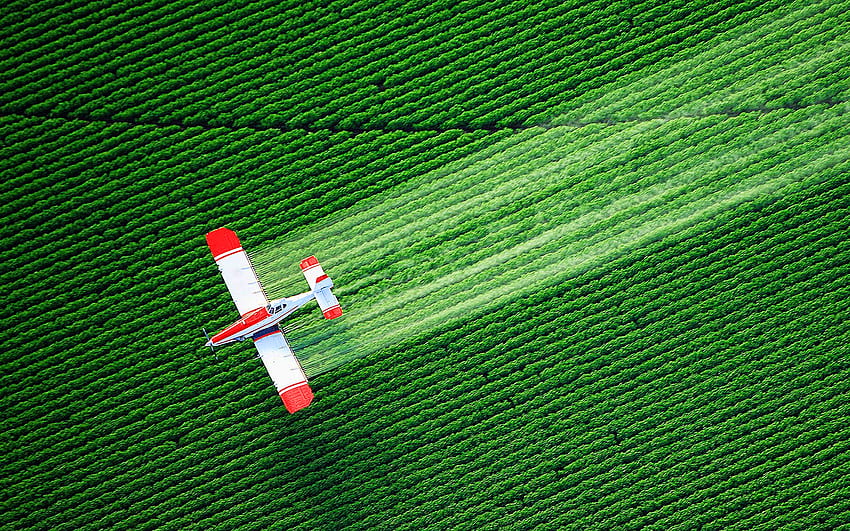 aerial view, flying plane, field pollination, agriculture, summer, green feilds, beautiful nature, R, red plane, agriculture concepts HD wallpaper