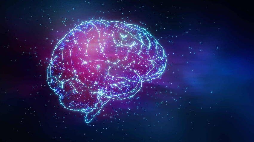Come il cervello e il corpo lavorano insieme per creare il pensiero, la psicologia del cervello Sfondo HD