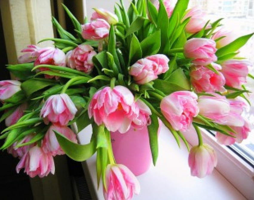 Gorgeous tulips at the window, pink, window, gorgeous, vase, nature, flowers, tulips HD wallpaper