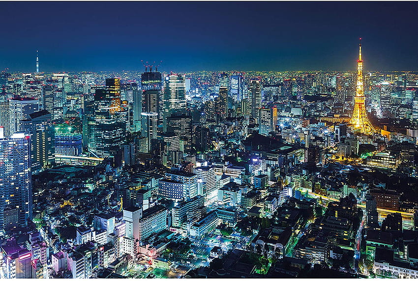 BÜYÜK SANAT Posteri - Tokyo - Gece Japonya Manzarası Panorama Tokyo Şehir Manzarası Metropolis Kule Dünya Şehir Şehir Seyahat Seyahat Dekorasyon Duvar Din A2 (42 x 59, 4 cm / 16,5 x 23,4 inç), Shinjuku Skyline Tokyo HD duvar kağıdı