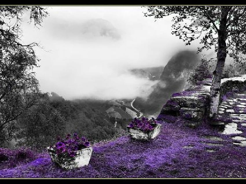 Violet Mimpi, mimpi, ungu Wallpaper HD