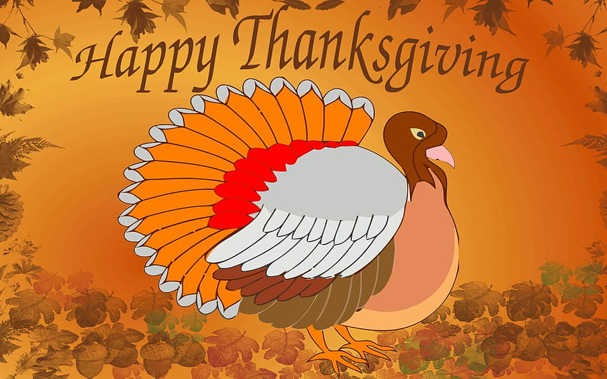 Funny Thanksgiving, Turkey Day HD wallpaper | Pxfuel