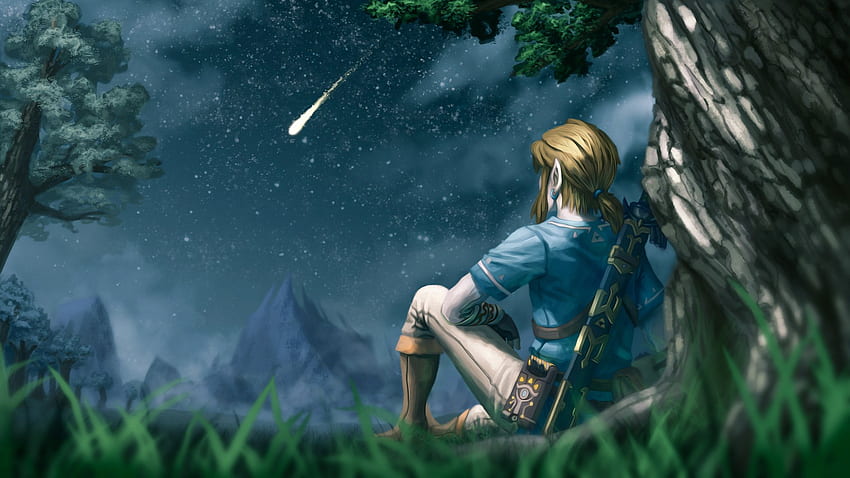 Die Legende von Zelda: Breath of the Wild. Hintergrund., The Legend of Zelda Link HD-Hintergrundbild