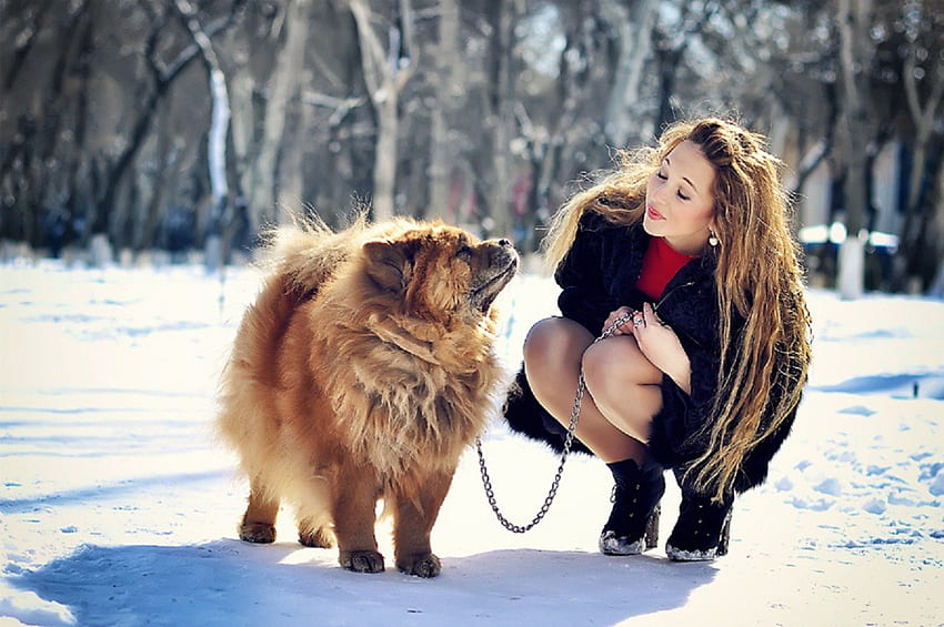 ผู้หญิงสวย - หมาสวย จ่ายหมา น่ารัก ลูกสุนัข ความงาม หน้าหมา สัตว์ หวาน สวย ขี้เล่น หมาขี้เล่น หมาสวย หน้าผู้หญิง น่ารัก ฟอง วอลล์เปเปอร์ HD