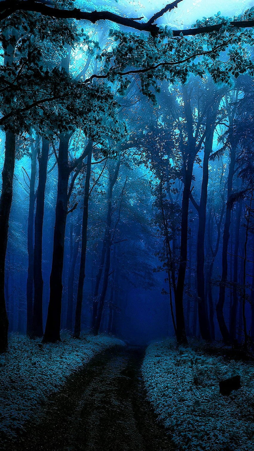 Sendero del árbol azul. Hermosa naturaleza , Paisaje fondo de pantalla del teléfono